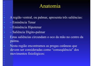 Anatomia
• A região ventral, ou palmar, apresenta três saliências:
• – Eminência Tenar
• – Eminência Hipotenar
• – Saliência Digito-palmar
• Estas saliências circundam o oco da mão no centro da
palma.
• Nesta região encontramos as pregas cutâneas que
devem ser consideradas como “conseqüência” dos
movimentos fisiológicos:
 