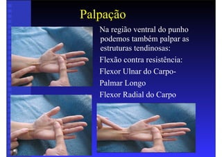 Palpação
• Na região ventral do punho
podemos também palpar as
estruturas tendinosas:
• Flexão contra resistência:
• Flexor Ulnar do Carpo-
• Palmar Longo
• Flexor Radial do Carpo
 