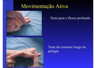 Movimentação Ativa
• Teste para o flexor profundo.
Teste do extensor longo do
polegar.
 