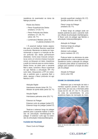 resistência do examinador ao dorso da 
falange proximal. 
Flexão dos Dedos: 
– Flexor Superficial dos Dedos 
{mediano, C7,C8, T1} 
– Flexor Profundo dos Dedos 
{mediano, C7, C8, T1} 
{ulnar, C8, T1} 
– Lumbricais 2 Mediais {ulnar C8} 
2 Laterais {mediano C7} 
• É possível realizar testes separa-dos 
para os tendões flexores superficial 
e profundo. Mantendo os dedos em hipe-rexrtensão 
a origem e a inserção do fle-xor 
profundo dos dedos permanecem 
afastadas. Como esse músculo compor-ta- 
se como um sincício (massa muscular 
única), ao bloquear um dedo, impedimos 
a ação do músculo para os outros dedos. 
Dessa forma, ao pedir para o paciente 
fletir o dedo, somente o flexor superficial 
irá agir fletindo a articulação IFP. Por 
outro lado, bloqueando a IFP em exten-são 
e pedindo para o paciente fletir o 
dedo, apenas o flexor profundo irá agir 
fletindo a IFP. 
Abdução Digital: 
Interósseos dorsais {ulnar C8, T1} 
Abdutor do quinto dedo {ulnar C8, T1} 
Adução Digital: 
Interósseos palmares ulnar {C8, T1} 
Extensor do Polegar: 
Extensor curto do polegar {radial C7} 
Extensor longo do polegar {radial C7} 
Testa-se o extensor longo do polegar 
pedindo para o paciente realizar a exten-são 
da articulação interfalangiana do 
polegar. O extensor curto age na exten-são 
da articulação metacarpofalangiana. 
FLEXÃO DO POLEGAR 
Flexor Curto do Polegar 
{porção superficial- mediano C6, C7} 
{porção profunda- ulnar C8} 
Flexor Longo do Polegar 
{mediano C8, T1} 
O flexor longo do polegar pode ser 
testado pedindo-se para o paciente reali-zar 
a flexão da articulação interfalangiana. 
O flexor curto do polegar age fletindo a 
articulação metacarpofalangiana. 
Abdução do Polegar 
Extensor longo do polegar 
{nervo radial C7} 
Abdutor curto polegar 
{nervo mediano C6, C7} 
Pode-se testar os abdutores do pole-gar 
estabilizando a mão e realizando uma 
resistência contra a abdução do polegar. 
O paciente pode utilizar os extensores do 
polegar para substituir a função de abdu-ção 
do polegar. 
Adução do Polegar 
{nervo ulnar C8} 
EXAME DA SENSIBILIDADE 
Sabemos que a inervação de todo o 
membro superior provém do plexo bra-quial. 
Este, por sua vez, é formado pelas 
raízes de C5, C6, C7, C8, T1. Do ponto 
de vista da sensibilidade, há uma 
seqüência lógica da inervação do mem- 
24 
Teste de Bunnell-Littler para avaliar a musculatura 
intrínseca. 
 