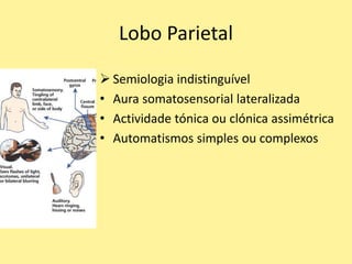 Lobo Parietal
 Semiologia indistinguível
• Aura somatosensorial lateralizada
• Actividade tónica ou clónica assimétrica
• Automatismos simples ou complexos
 