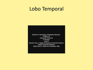 Lobo Temporal
 