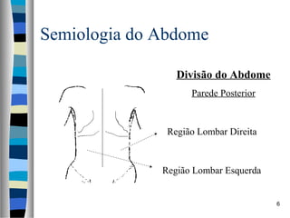 Semiologia do Abdome
Divisão do Abdome
Parede Posterior

Região Lombar Direita

Região Lombar Esquerda

6

 