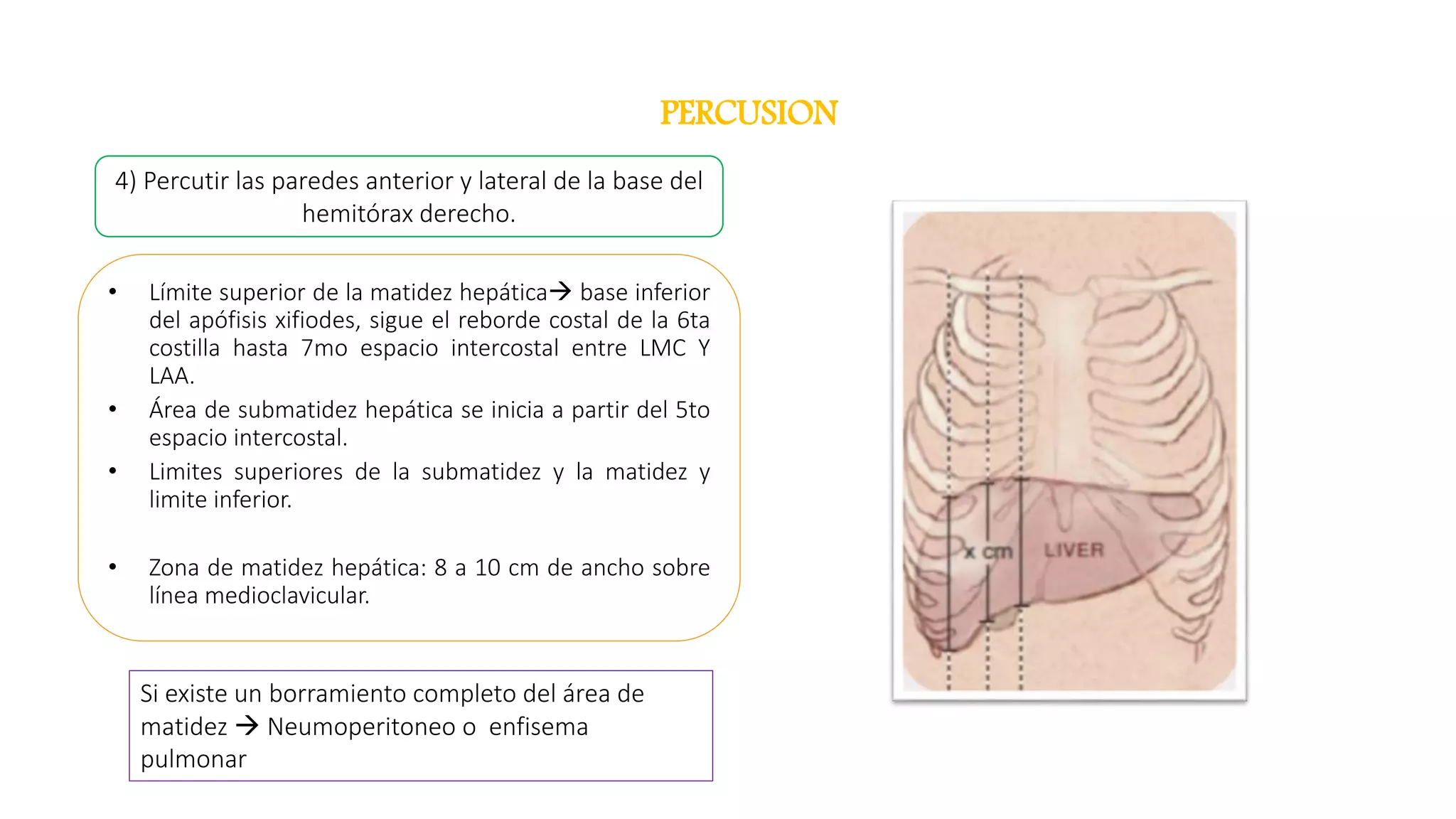 Semiologia de abdomen