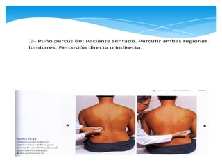 semiologia-de-abdomen-inspeccion-auscultacion-percusion-y-palpacion