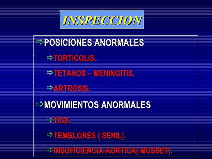 Las mejores vitaminas para los cabellos para el refuerzo