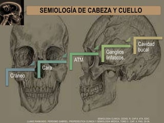 SEMIOLOGÍA DE CABEZA Y CUELLO

ATM

Ganglios
linfáticos.

Cavidad
bucal

Cara
Cráneo

SEMIOLOGIA CLINICA, CEDIEL R, CAP.8....