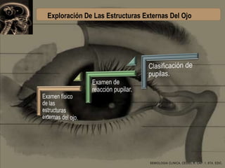 Exploración De Las Estructuras Externas Del Ojo

SEMIOLOGIA CLINICA, CEDIEL R, CAP. 1. 6TA. EDIC.

 