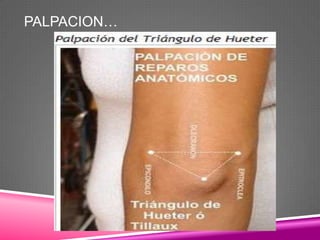 PALPACION…
 