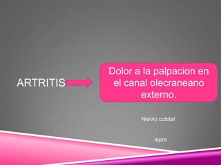 Dolor a la palpacion en
ARTRITIS    el canal olecraneano
                  externo.

                  Nervio cubital


                       lepra
 