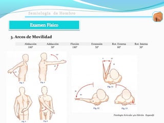 3. Arcos de Movilidad
Abducción Adducción Flexión Extensión Rot. Externa Rot. Interna
180º 30º 180º 50º 80º 30º
Fisiología Articular 4ta Edición. Kapandji
 