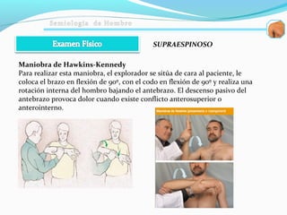 Maniobra de Hawkins-Kennedy
Para realizar esta maniobra, el explorador se sitúa de cara al paciente, le
coloca el brazo en flexión de 90º, con el codo en flexión de 90º y realiza una
rotación interna del hombro bajando el antebrazo. El descenso pasivo del
antebrazo provoca dolor cuando existe conflicto anterosuperior o
anterointerno.
SUPRAESPINOSO
 