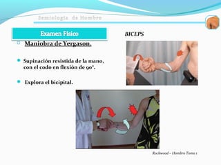  Maniobra de Yergason.
 Supinación resistida de la mano,
con el codo en flexión de 90°.
 Explora el bicipital.
BICEPS
Rockwood – Hombro Tomo 1
 