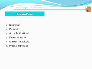 1. Inspección
2. Palpación
3. Arcos de Movilidad
4. Fuerza Muscular
5. Examen Neurológico
6. Pruebas Especiales
 