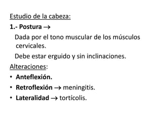 Estudio de la cabeza:
1.- Postura 
Dada por el tono muscular de los músculos
cervicales.
Debe estar erguido y sin inclinaciones.
Alteraciones:
• Anteflexión.
• Retroflexión  meningitis.
• Lateralidad  tortícolis.
 
