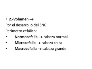 • 2.-Volumen 
Por el desarrollo del SNC.
Perímetro cefálico:
• Normocefalia  cabeza normal.
• Microcefalia  cabeza chica
• Macrocefalia  cabeza grande
 