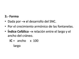 3.- Forma
• Dada por  el desarrollo del SNC.
• Por el crecimiento armónico de las fontanelas.
• Índice Cefálico  relación entre el largo y el
ancho del cráneo.
IC = ancho x 100
largo
 