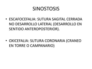 SINOSTOSIS
• ESCAFOCEFALIA: SUTURA SAGITAL CERRADA
NO DESARROLLO LATERAL (DESARROLLO EN
SENTIDO ANTEROPOSTERIOR).
• OXICEFALIA: SUTURA CORONARIA (CRANEO
EN TORRE O CAMPANARIO)
 