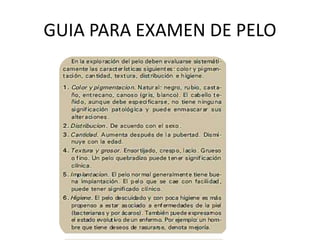 GUIA PARA EXAMEN DE PELO
 