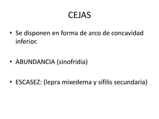 CEJAS
• Se disponen en forma de arco de concavidad
inferior.
• ABUNDANCIA (sinofridia)
• ESCASEZ: (lepra mixedema y sífilis secundaria)
 