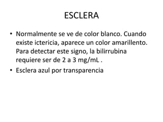 ESCLERA
• Normalmente se ve de color blanco. Cuando
existe ictericia, aparece un color amarillento.
Para detectar este signo, la bilirrubina
requiere ser de 2 a 3 mg/mL .
• Esclera azul por transparencia
 