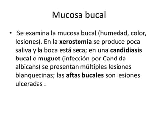 Mucosa bucal
• Se examina la mucosa bucal (humedad, color,
lesiones). En la xerostomía se produce poca
saliva y la boca está seca; en una candidiasis
bucal o muguet (infección por Candida
albicans) se presentan múltiples lesiones
blanquecinas; las aftas bucales son lesiones
ulceradas .
 