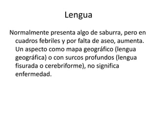 Lengua
Normalmente presenta algo de saburra, pero en
cuadros febriles y por falta de aseo, aumenta.
Un aspecto como mapa geográfico (lengua
geográfica) o con surcos profundos (lengua
fisurada o cerebriforme), no significa
enfermedad.
 