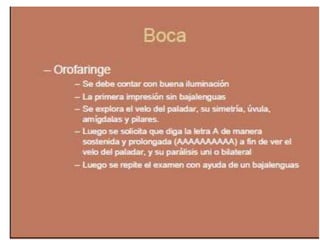 Semiologia de la Cabeza