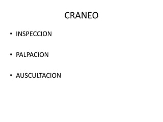 CRANEO
• INSPECCION
• PALPACION
• AUSCULTACION
 