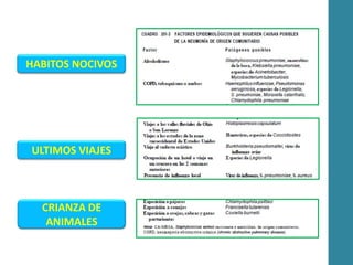 HABITOS NOCIVOS
ULTIMOS VIAJES
CRIANZA DE
ANIMALES
 