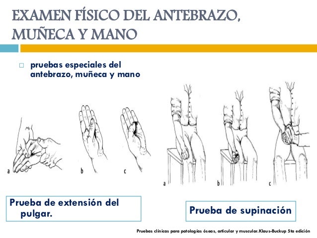 Semiologia del antebrazo