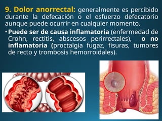 SEMIOLOGIA DEL APARATO REPRODUCTOR MASCULINO.pptx