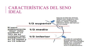 CARACTERÍSTICAS DEL SENO
IDEAL
 