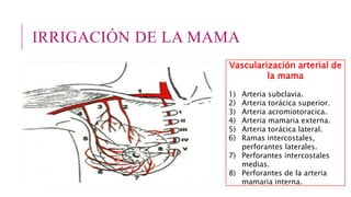 IRRIGACIÓN DE LA MAMA
Vascularización arterial de
la mama
1) Arteria subclavia.
2) Arteria torácica superior.
3) Arteria acromiotoracica.
4) Arteria mamaria externa.
5) Arteria torácica lateral.
6) Ramas intercostales,
perforantes laterales.
7) Perforantes intercostales
medias.
8) Perforantes de la arteria
mamaria interna.
 