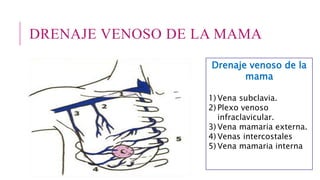 DRENAJE VENOSO DE LA MAMA
Drenaje venoso de la
mama
1) Vena subclavia.
2) Plexo venoso
infraclavicular.
3) Vena mamaria externa.
4) Venas intercostales
5) Vena mamaria interna
 