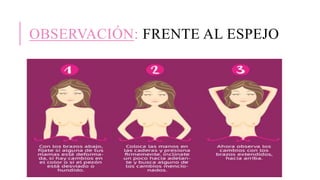 OBSERVACIÓN: FRENTE AL ESPEJO
 