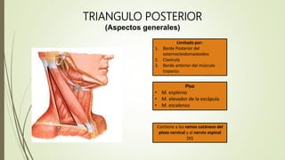 Semiologia del cuello. | PPTX