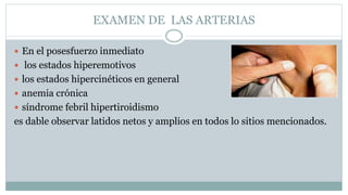 EXAMEN DE LAS ARTERIAS
 En el posesfuerzo inmediato
 los estados hiperemotivos
 los estados hipercinéticos en general
 anemia crónica
 síndrome febril hipertiroidismo
es dable observar latidos netos y amplios en todos lo sitios mencionados.
 