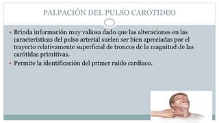 PALPACIÓN DEL PULSO CAROTIDEO
 Brinda información muy valiosa dado que las alteraciones en las
características del pulso arterial suelen ser bien apreciadas por el
trayecto relativamente superficial de troncos de la magnitud de las
carótidas primitivas.
 Permite la identificación del primer ruido cardiaco.
 