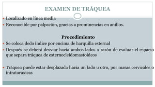 EXAMEN DE TRÁQUEA
 Localizado en línea media
 Reconocible por palpación, gracias a prominencias en anillos.
Procedimiento
 Se coloca dedo índice por encima de harquilla esternal
 Después se deberá desviar hacia ambos lados a razón de evaluar el espacio
que separa tráquea de esternocleidomastoideos
 Tráquea puede estar desplazada hacia un lado u otro, por masas cervicales o
intratoraxicas
 