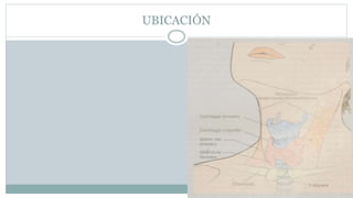UBICACIÓN
 