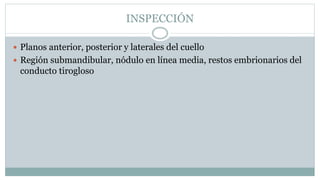 INSPECCIÓN
 Planos anterior, posterior y laterales del cuello
 Región submandibular, nódulo en línea media, restos embrionarios del
conducto tirogloso
 