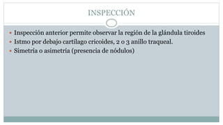INSPECCIÓN
 Inspección anterior permite observar la región de la glándula tiroides
 Istmo por debajo cartílago cricoides, 2 o 3 anillo traqueal.
 Simetría o asimetría (presencia de nódulos)
 