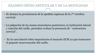 EXAMEN OSTEO ARTICULAR Y DE LA MOVILIDAD
 Se destaca la prominencia de la apófisis espinosa de la 7ª vertebra
cervical.
 La palpación de las masas musculares posteriores, la inclinación lateral
y rotación del cuello, permiten evaluar la presencia de ¨contractura
cervical¨.
 En la cara lateral cobra importancia el musculo ECM ya que transcurre
el paquete neurovascular del cuello.
 