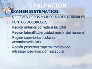 PALPACION
 EXAMEN SISTEMATICO:
1. RELIEVES OSEOS Y MUSCULARES NORMALES
2. PUNTOS DOLOROSOS
 Región anterior(corredera bicipital)
 Región lateral(tuberosidad mayor del humero)
 Región superior(articulacion
acromioclavicular)
 Región posterior(trapecio-romboideo-
infraespinoso-inserción escapular
 