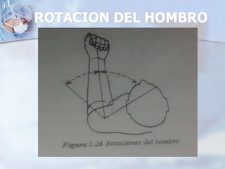 ROTACION DEL HOMBRO
 