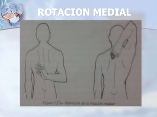 ROTACION MEDIAL
 