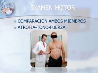 EXAMEN MOTOR
 COMPARACION AMBOS MIEMBROS
 ATROFIA-TONO-FUERZA
 