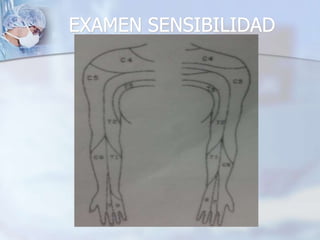EXAMEN SENSIBILIDAD
 