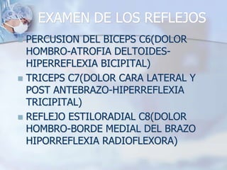 EXAMEN DE LOS REFLEJOS
 PERCUSION DEL BICEPS C6(DOLOR
HOMBRO-ATROFIA DELTOIDES-
HIPERREFLEXIA BICIPITAL)
 TRICEPS C7(DOLOR CARA LATERAL Y
POST ANTEBRAZO-HIPERREFLEXIA
TRICIPITAL)
 REFLEJO ESTILORADIAL C8(DOLOR
HOMBRO-BORDE MEDIAL DEL BRAZO
HIPORREFLEXIA RADIOFLEXORA)
 